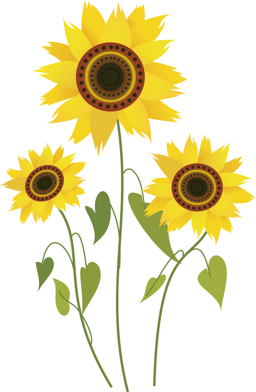 Common Sunflower Drawing Computer File - Sunflowers Drawing Png ...