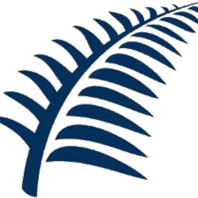 Silver Fern - Silver Fern Png - (400x400) Png Clipart Download