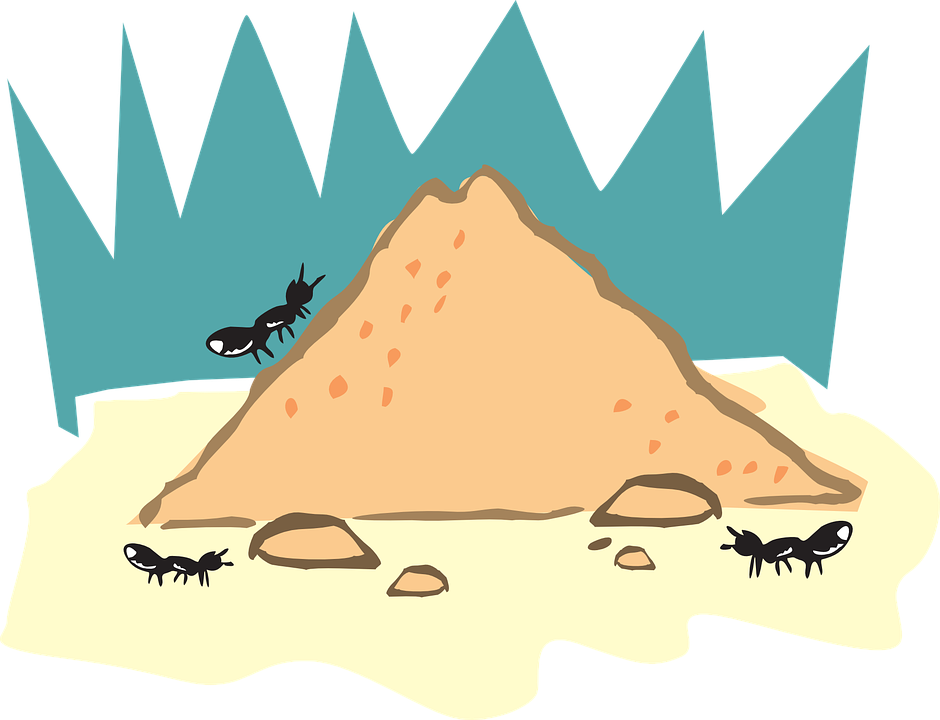 Anthill Drawing - Photo - Insects And Their Homes.