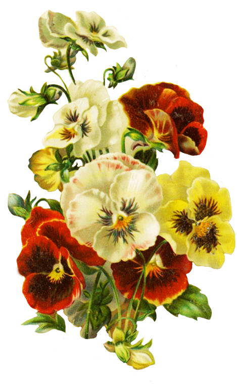 Bouquet Of Pansies - Wedding Invitation - (541x768) Png Clipart Download