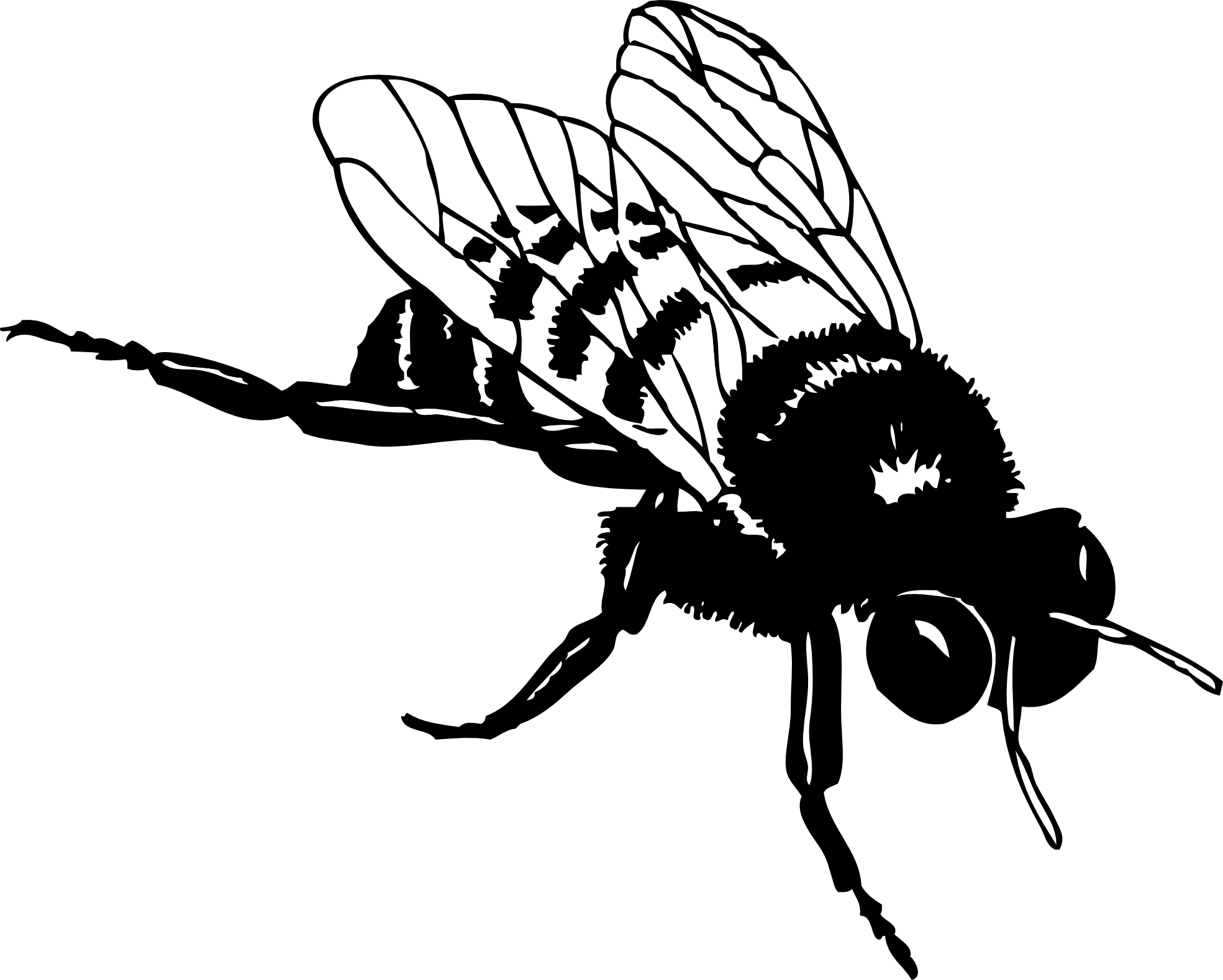 Муха черно белая. Пчела рисунок. Оса стилизация. Пчела черно белая.