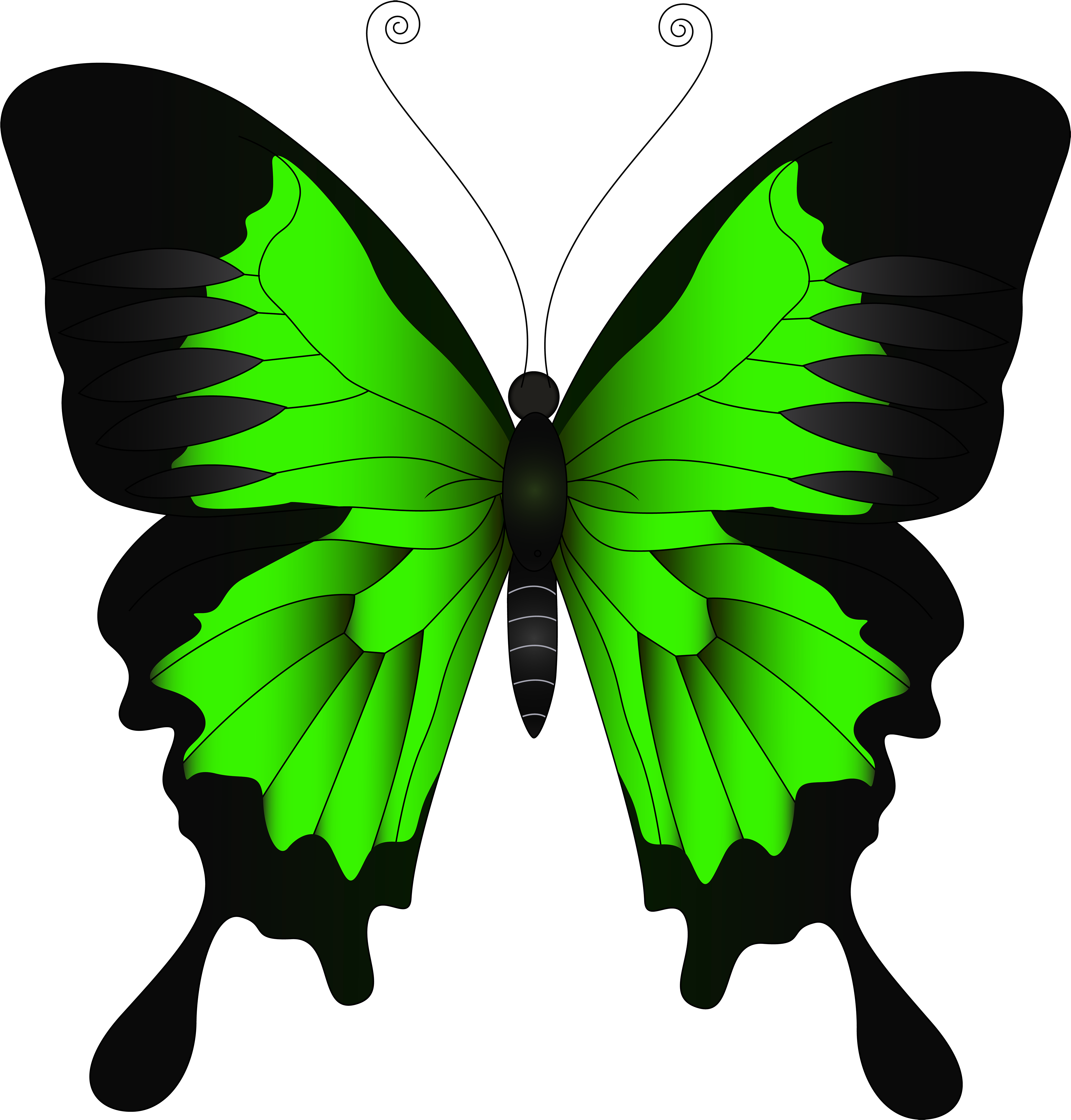 Green Butterfly Png Clip Art Image - Blue And Purple Butterfly.