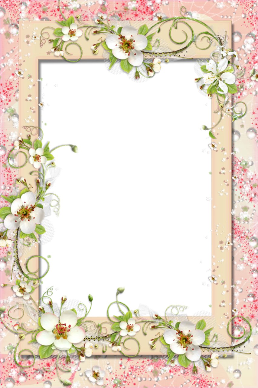 Transparent Png Frames - White Flowers Borders Hd (853x1280)