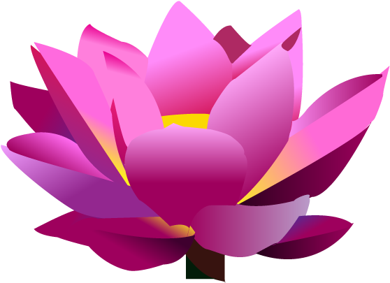 Lotus Flower Graphic - Lotus Flower Graphic Png - (640x480) Png Clipart ...