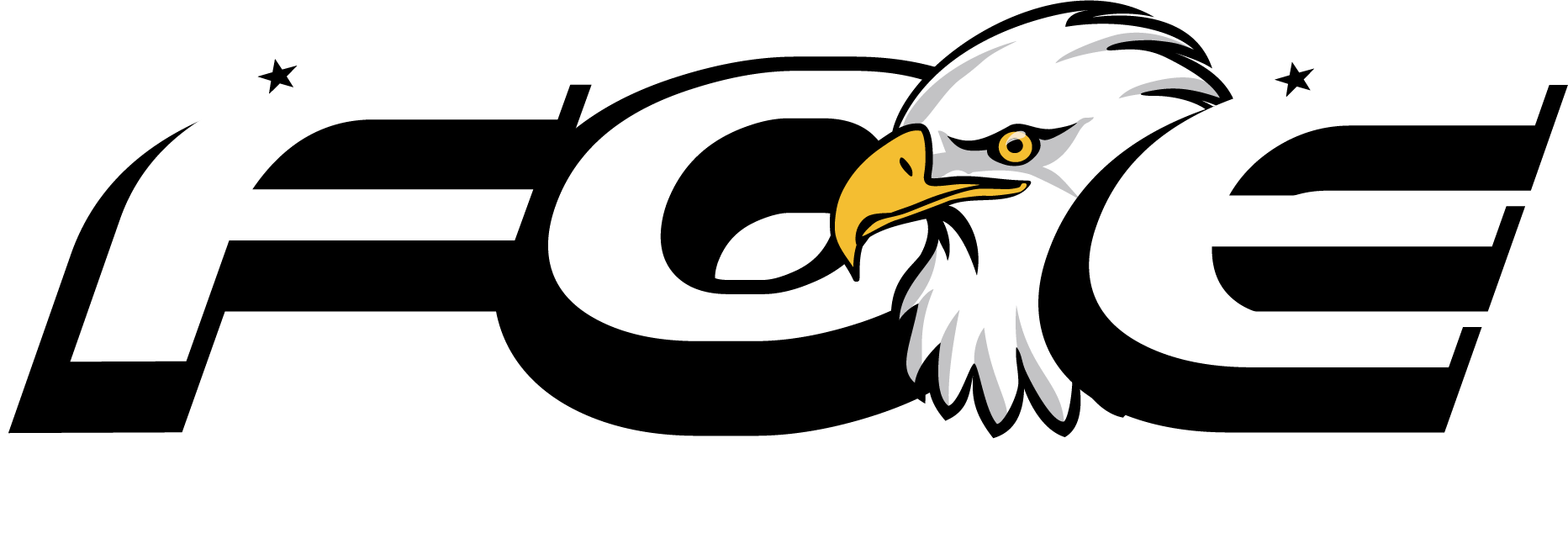 Fraternal order of eagles pins