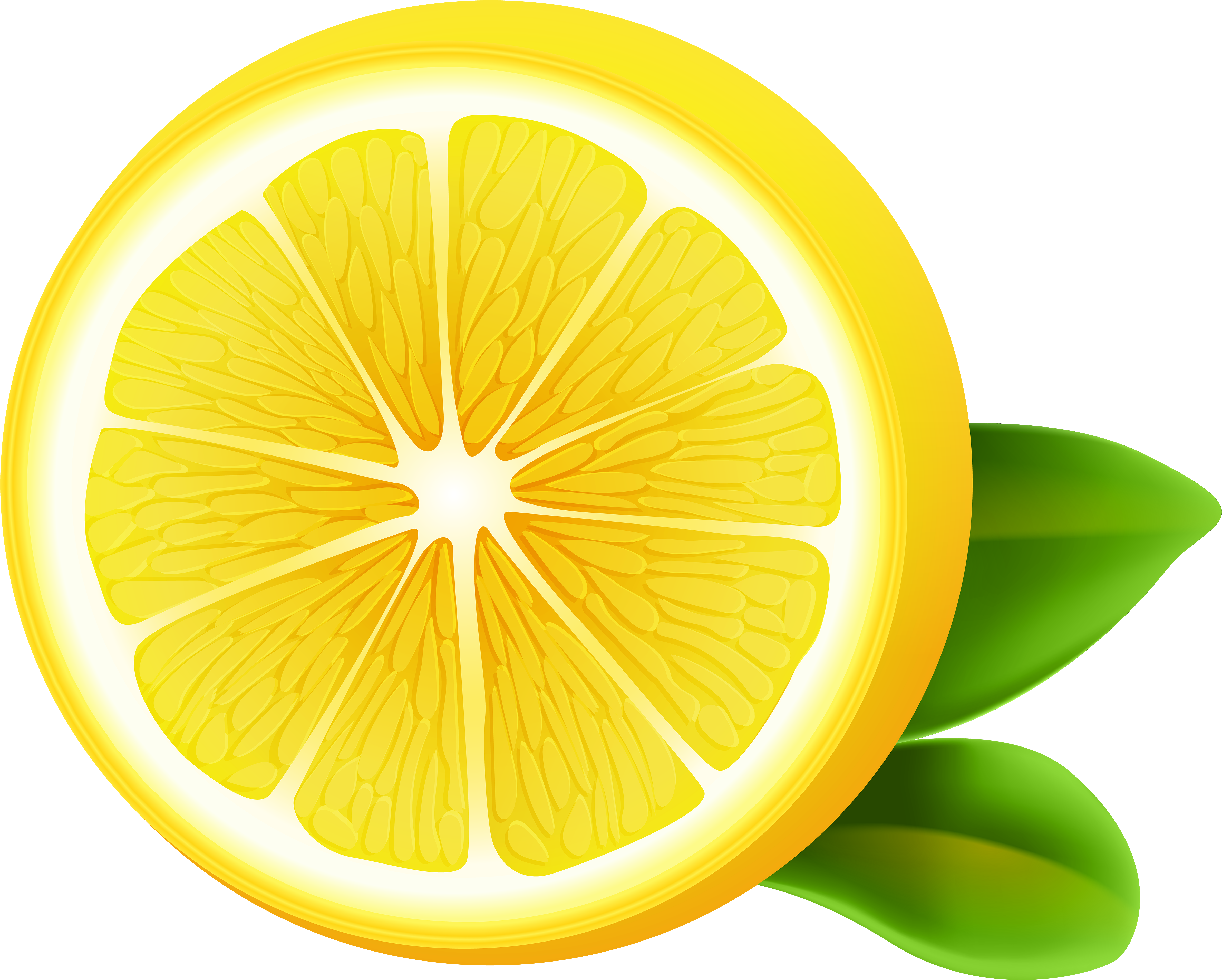 Долька лимона. Лимон в разрезе. Лимон векторный. Лимон клипарт.