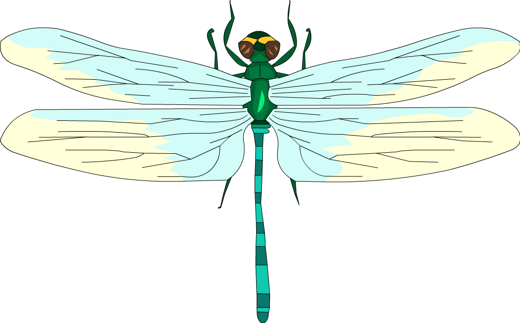 Dragonfly f1 software