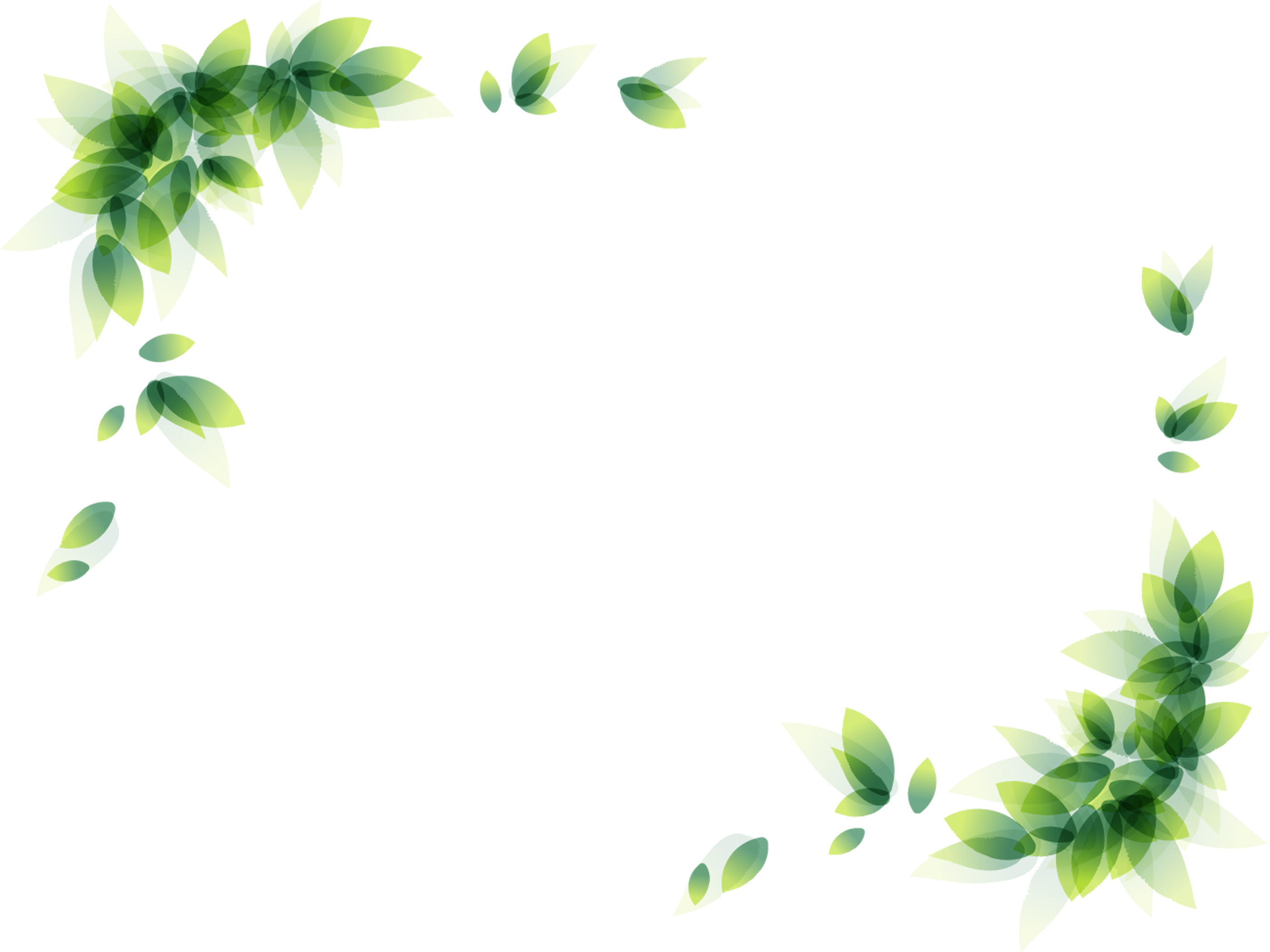 green leaf border design