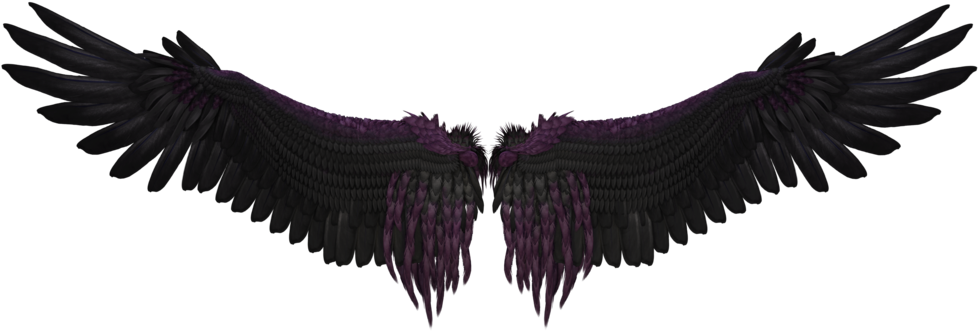 Black Wings Png - Wing - (1024x512) Png Clipart Download