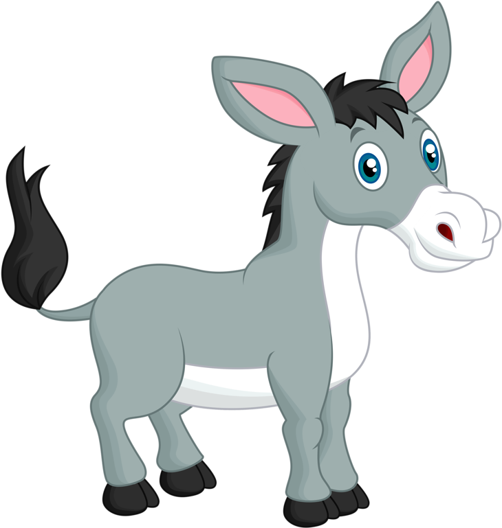 Donkey Mule - Cartoon Donkey - Donkey Mule - Cartoon Donkey - (800x798 ...