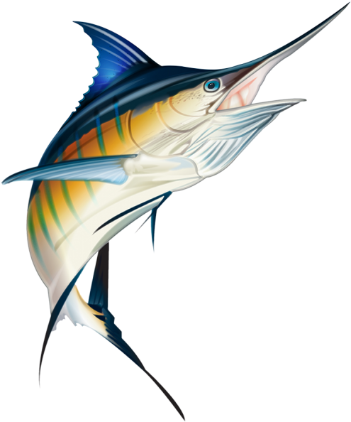 So Don't Wait, Contact Me Now And Let's Make You A - Marlin Fish For ...