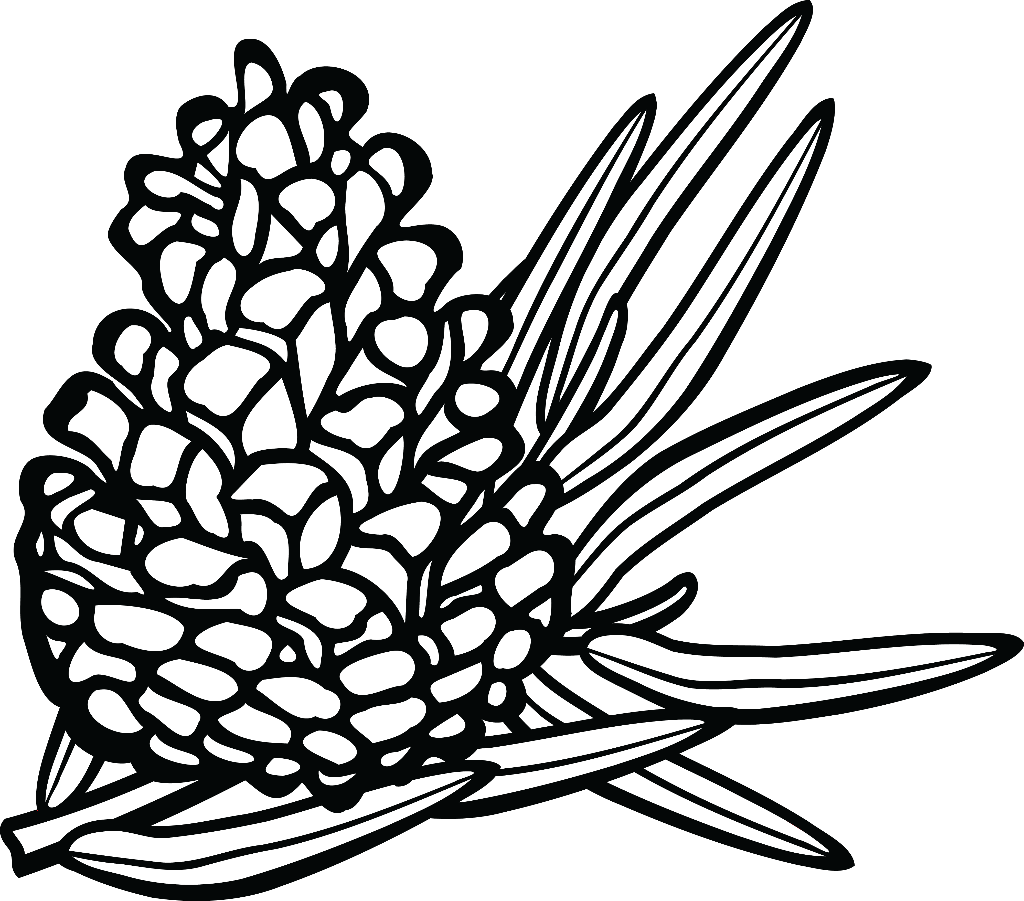 Free Clipart Of A Pinecone - Coniferous Clipart Black And White (4000x3519)