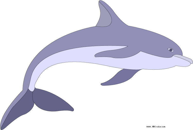 Dolphins Clipart Sad - Дельфин Рисунок (822x567)