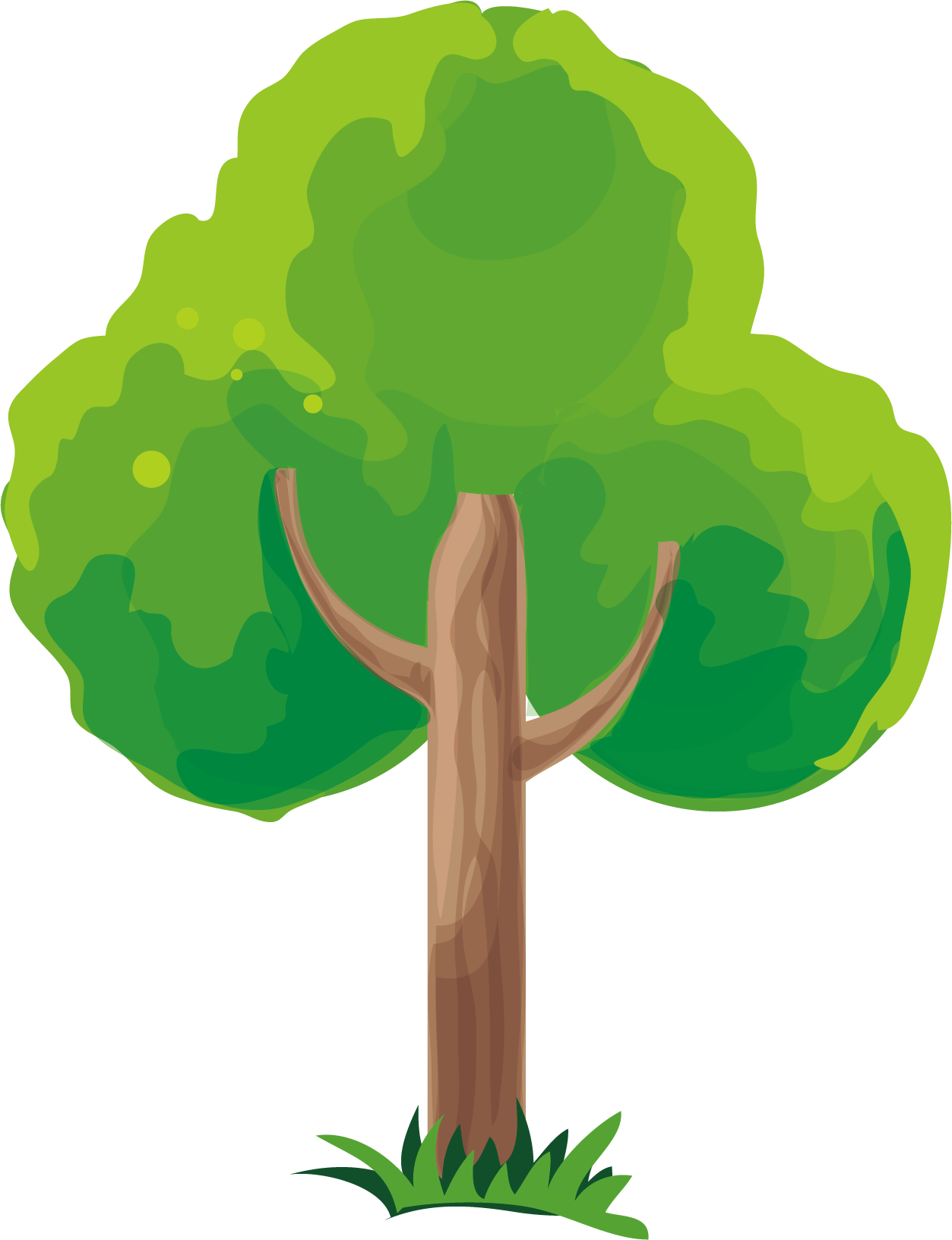 Png Trees Vector Material - Transparent Tree Vector Png (1253x1632)