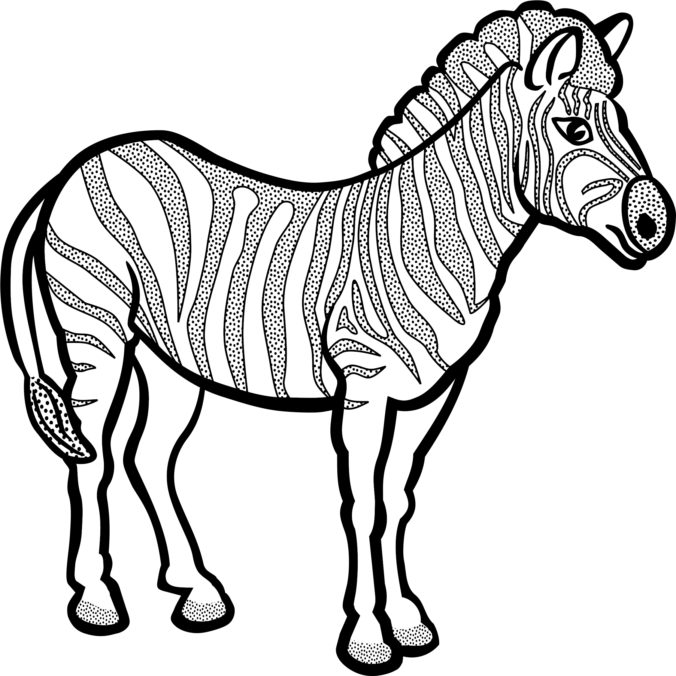 Big Image - Zebra Line Art - (2400x2400) Png Clipart Download