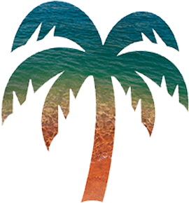 Palm Tree Logo Images - Palm Tree Logo Clothing - (500x500) Png Clipart ...