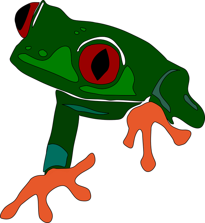 Frog Outline Clipart 20, Buy Clip Art - Frog Clip Art (660x720)