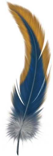 single peacock feathers with flute png