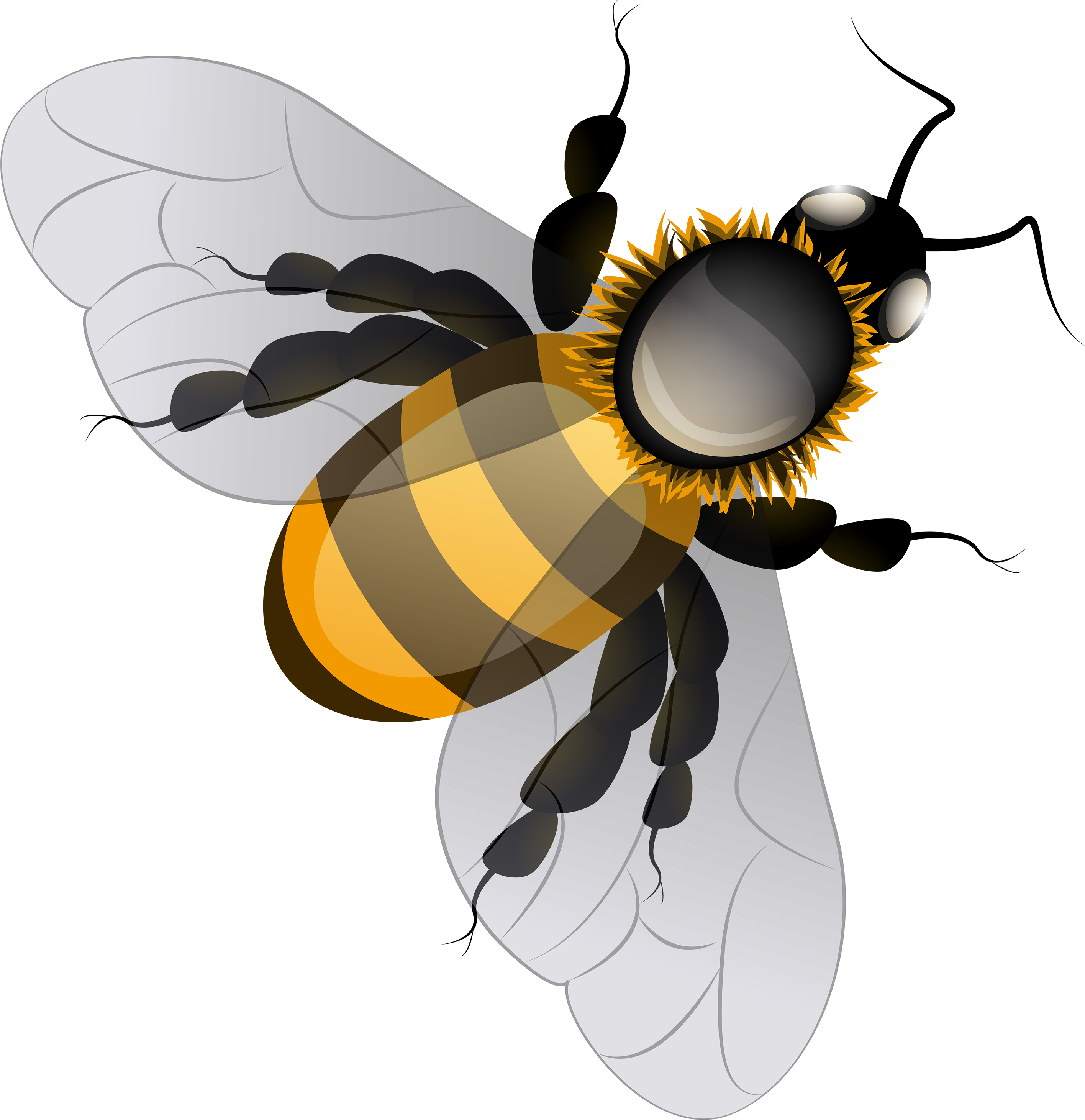 Bee Png Clip Art - Bee Png Clipart - (2907x3000) Png Clipart Download