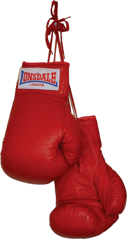 Boxing Gloves Ing Gloves Clipart Mart - Boxing Gloves Transparent (1024x1024)