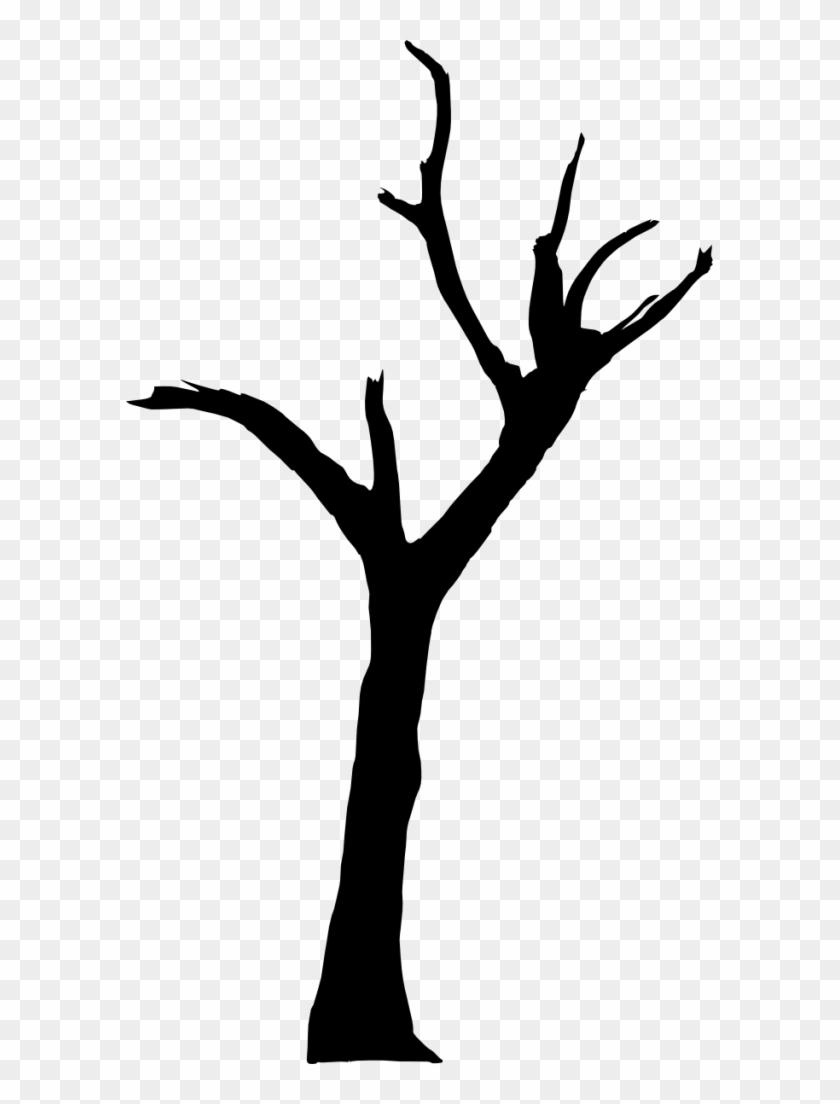 10 Spooky Dead Tree Silhouette Vol - Deadvlei #1287