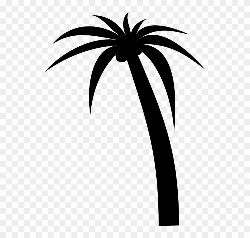 Tree Palm Silhouette Tropical Black Coconut Plant - Palm Tree Clip Art #1873