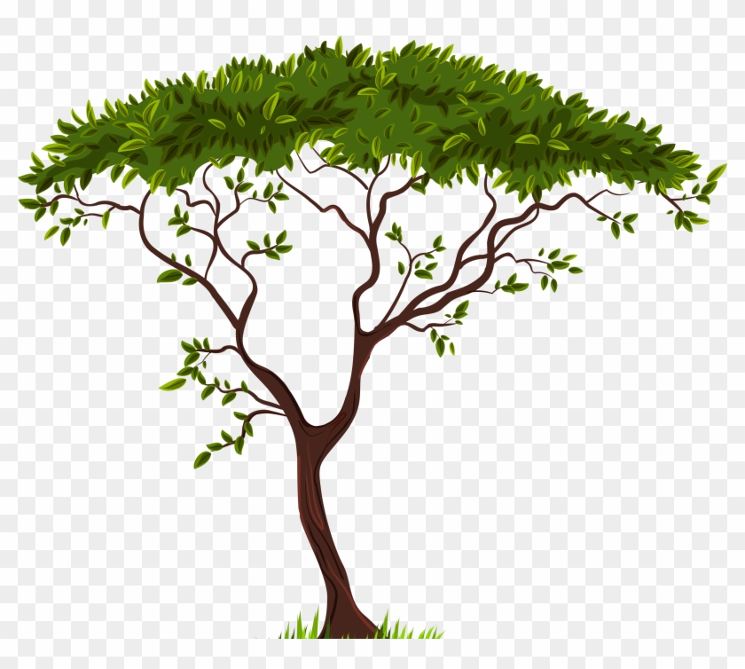 Exotic Tree Png Clip Art - Exotic Tree Png Clip Art #227