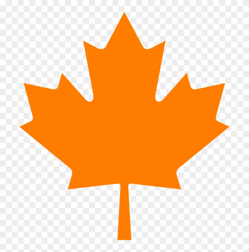 Canada Maple Leaf png download - 1042*1042 - Free Transparent
