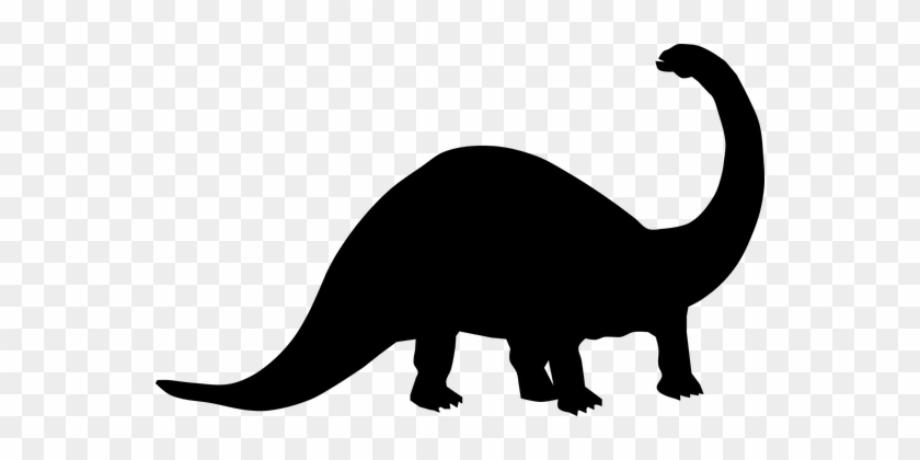 Animal Dinosaur Fossil Paleontology Silhou - Dinosaur Clipart Black And White #6693