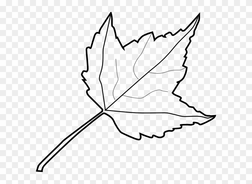 Maple Leaf Outline Clip Art at  - vector clip art online