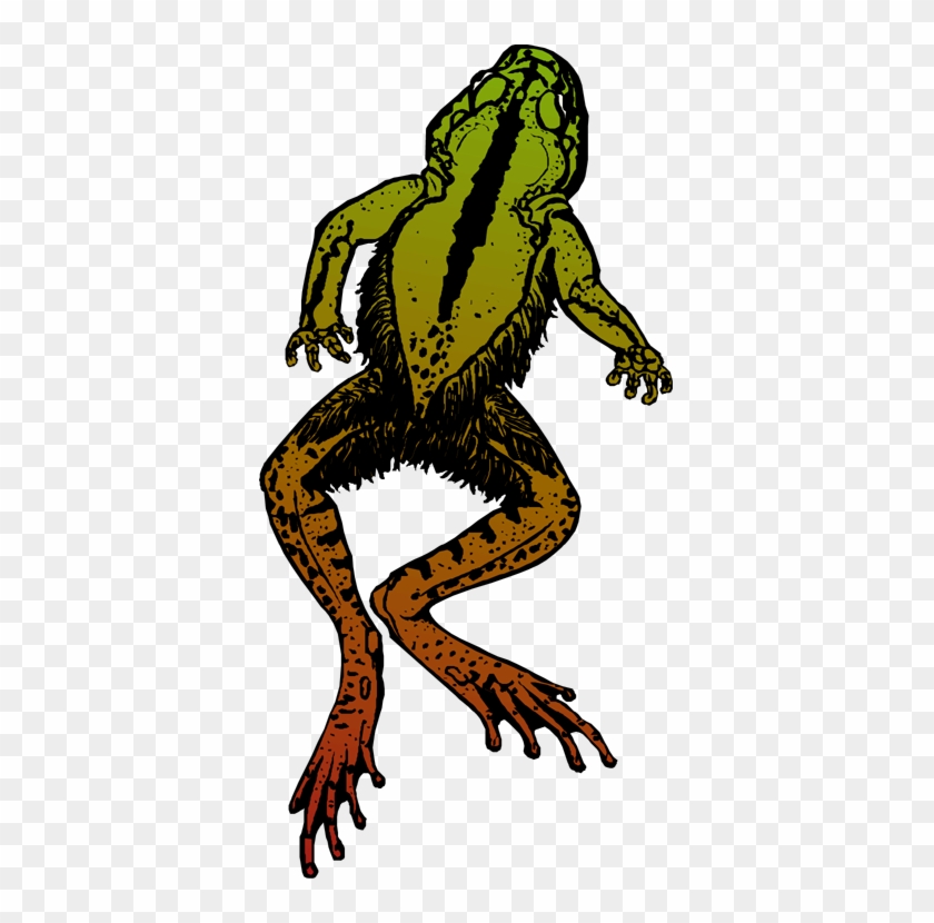 dead frog clipart