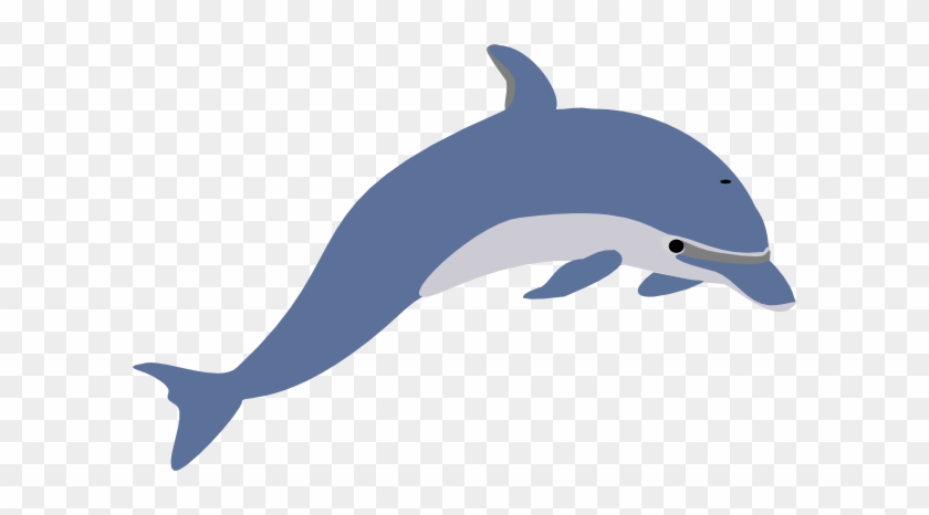 Free Clipart Dolphin #17105