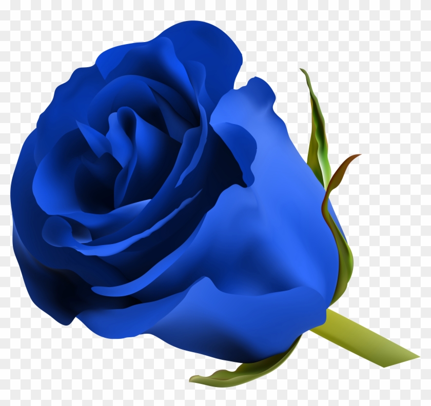 Blue Roses, Art Images, Clip Art, Pictures, Free, Beautiful, - Blue ...
