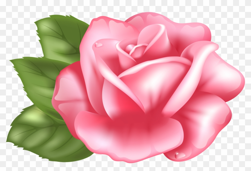 Top 78 Pink Rose Clipart - Pink Rose Clip Art #17552