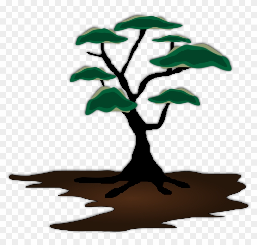 Tree, Exotic, Landscape, Soil, Growing - African Trees Clip Art #17624