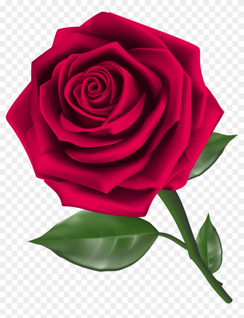 Roses Clip Art - Rose Png #17660