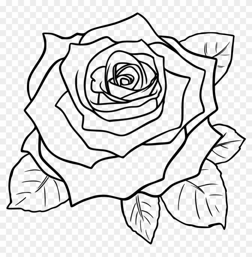 Rose Clipart Black And White Free Clip Art Images - Rose Step By Step #17747