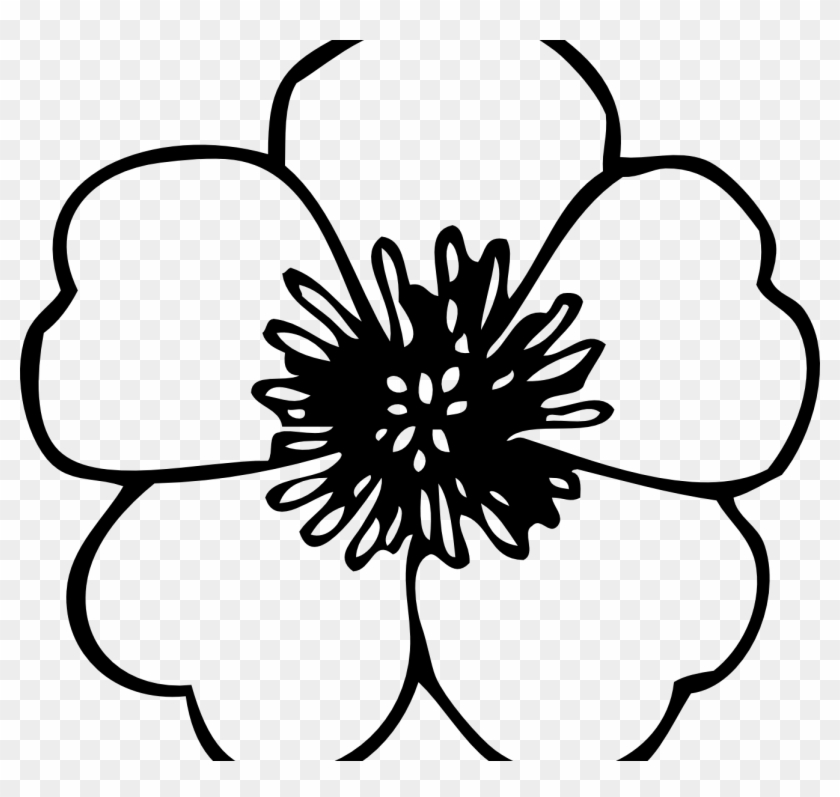 Download Coloring Page Poppy Flowers Veterans Day Pretty Flower - Flower Clip Art Free - Free Transparent ...