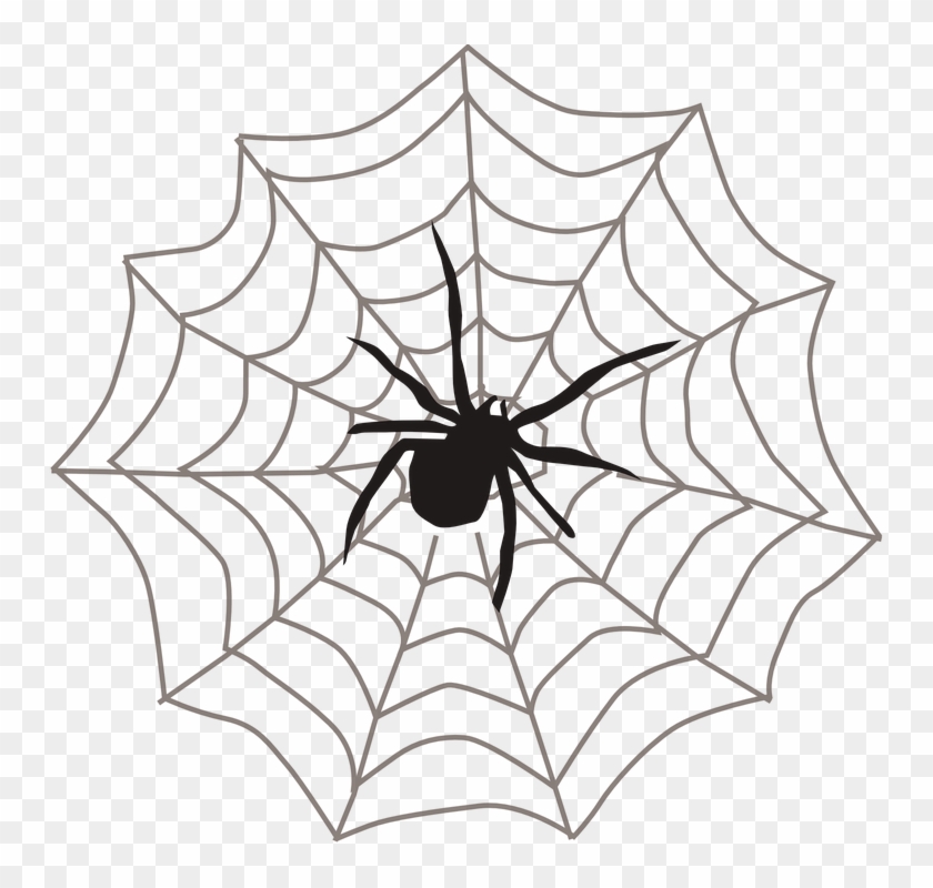 Drawn Spider Web Transparent - Spider In Web Clipart #461879