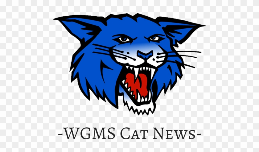 Cat News - Wgms Wildcats #463379