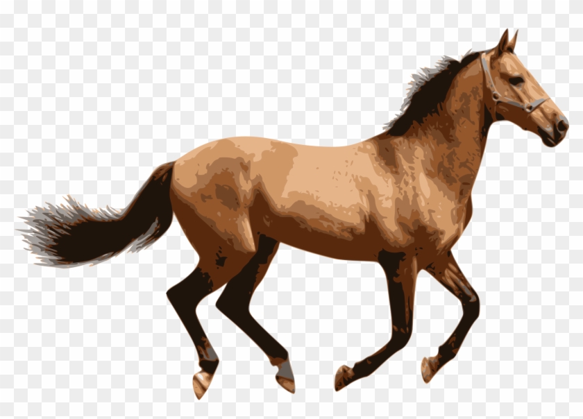 Caballo - Horse Png #464190