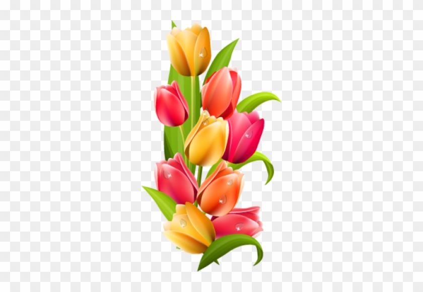 Png Lale, Png Tulips, Png Lale Resimleri, Png Tulips - Tulips .png #464723