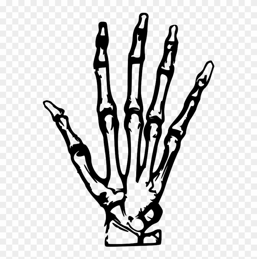 Hand X Ray Svg Vector File Vector Clip Art Svg File Skeleton Hand Clip Art Free Transparent Png Clipart Images Download