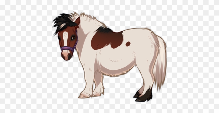 miniature horse clipart