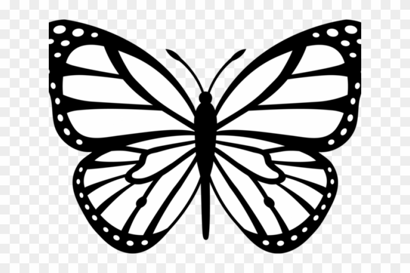 Butterfly Drawings Black And White - Butterfly Drawing Png ...