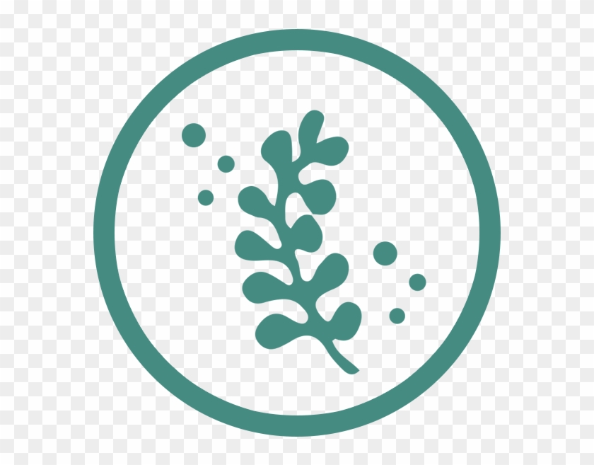 A Natural Solution - Seaweed Icon Png #477903
