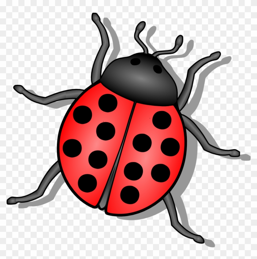 Gustavorezende Lady Bug 999px 158 - Ladybug Clipart Black And White #485400