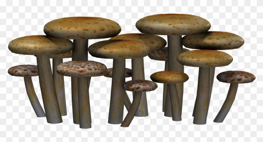 Mushroom Png 7, Buy Clip Art - Mushrooms Png #488771