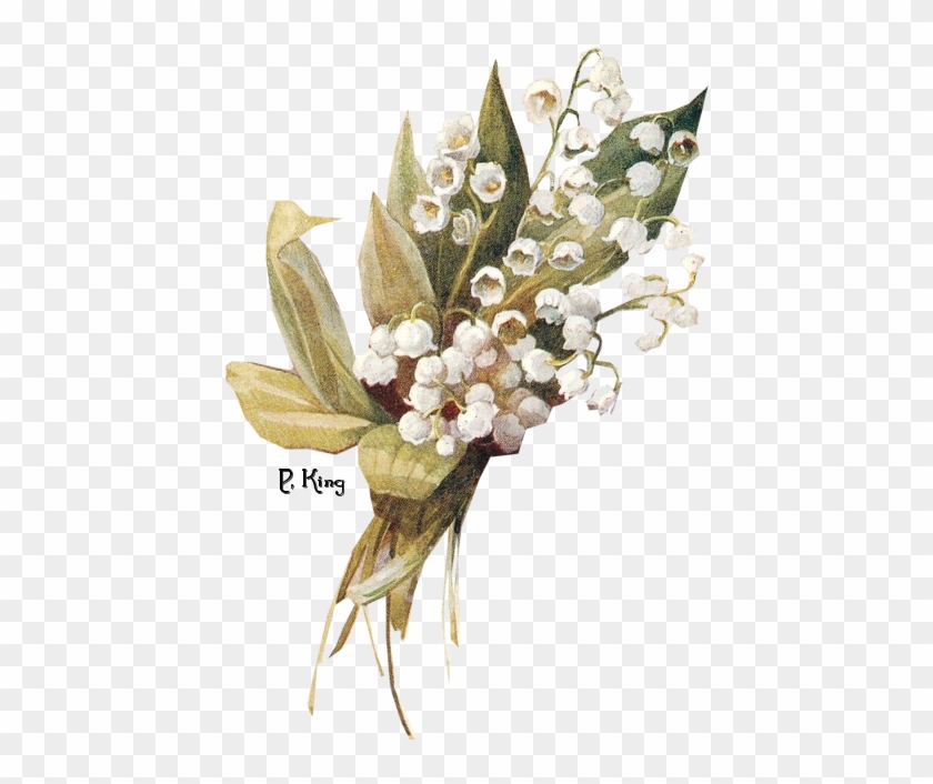 Lily Of The Valley Clipart Vintage - Lily Of The Valley Vintage #492038