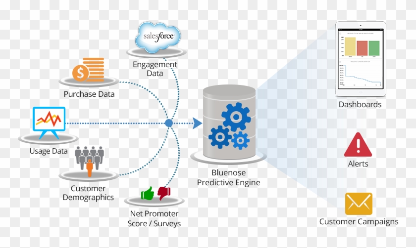 Bluenose Analytics Enables The Metrics-driven Saas - Customer Success #494964